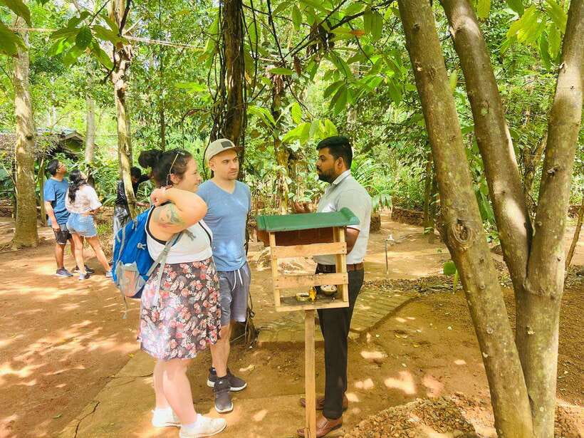 From Kandy: Sigiriya Day Tour with Elephant Safari(group) - Kandy to Sigiriya in one day: what this trip really delivers