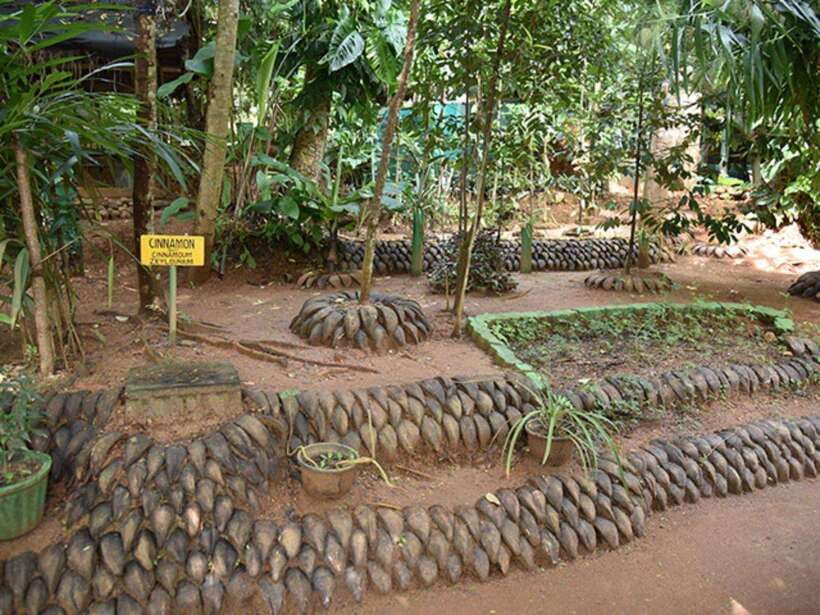 From Kandy: Sigiriya Guided Tuk-Tuk Tour - Matale Hindu Temple: Tamil heritage you can see up close