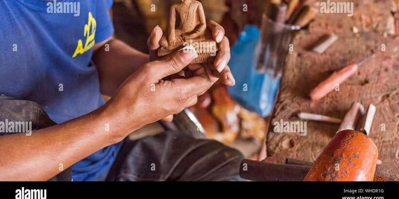 From Kandy: Sigiriya Rock & Dambulla Cave Temple Adventure - Price and logistics: what $29 actually buys you
