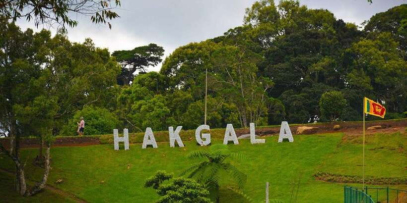 From Kandy To Nuwara Eliya Drop Tour - Private Tour - Nuwara Eliya Post Office and the Town’s Little England Feel