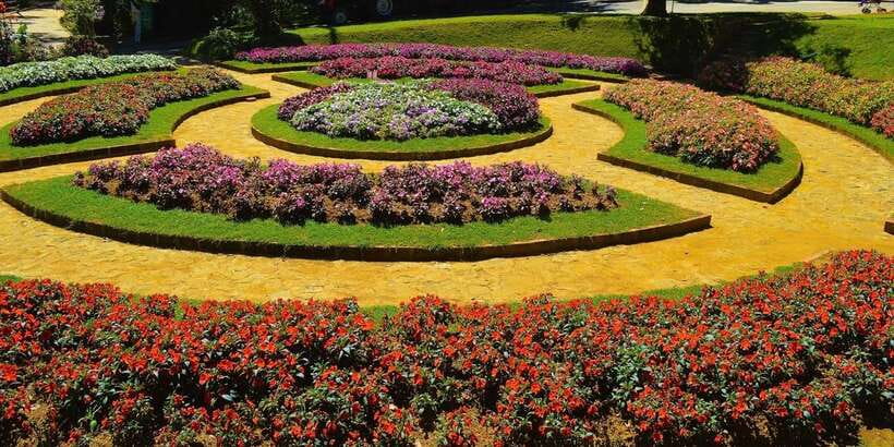 From Kandy To Nuwara Eliya Drop Tour - Private Tour - Optional Gregory Lake and Victoria Park: Choose Your Nature Tempo