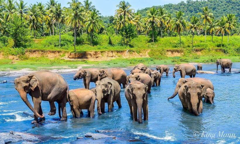 From Kandy To Pinnawala Private Day Tour via Ambuluwawa - From Asgiriya Stupa to woodcarving: the ride that sets the tone