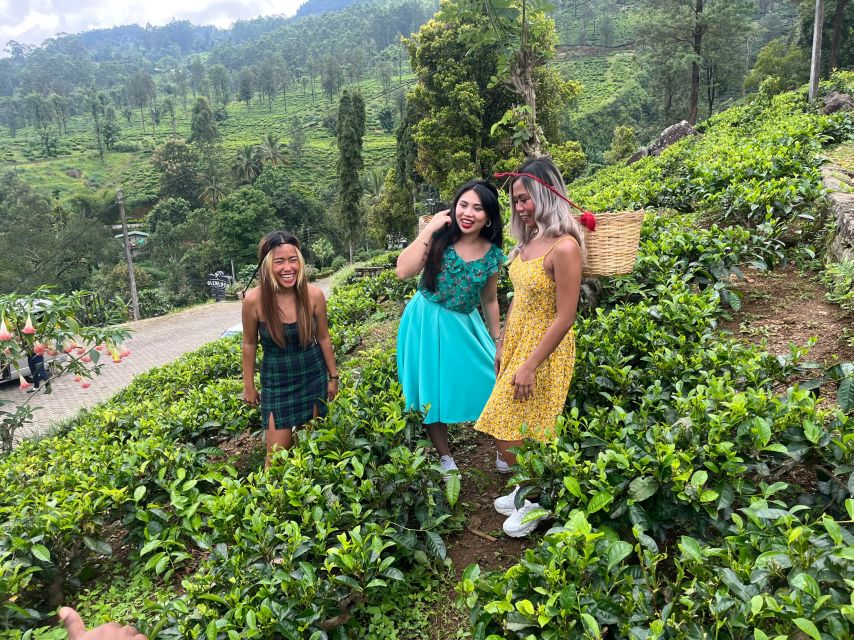 From kandy Train, and Pool Club Day Tour with Pickup - Nuwara Eliya quick cool-down and a Ceylon tea break