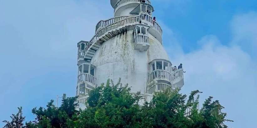 From Negombo: Ambuluwawa Tower & Tea Factory,Kandy Day Trip - Royal Botanical Gardens: when slow walking helps—or hurts