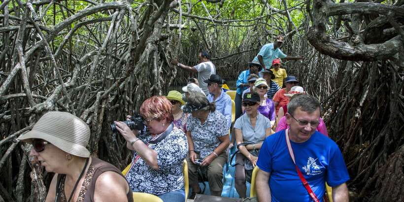 From Negombo: Bentota Full-Day Tour - How the Bentota Day Runs From Negombo (and why timing matters)