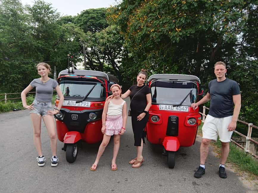 From Negombo: Colombo City Tour by Tuk Tuk with Hotel Pickup - Viharamahadevi Park and the street-food finish: where the tour turns from sites to taste