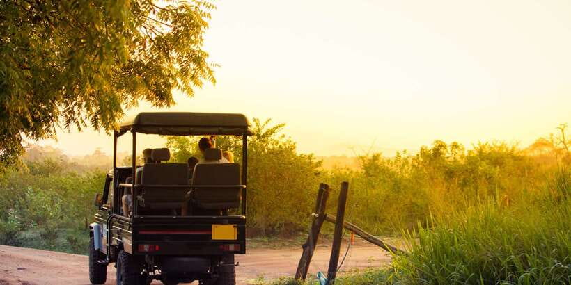 From Negombo: Minneriya National Park Safari Tour - Negombo pickup at 8:00 AM: the logistics that shape your safari
