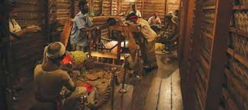 From Negombo : Pinnawala & Tea Factory & Kandy Full Day Trip - Kadugannawa National Railway Museum: a short stop that adds variety