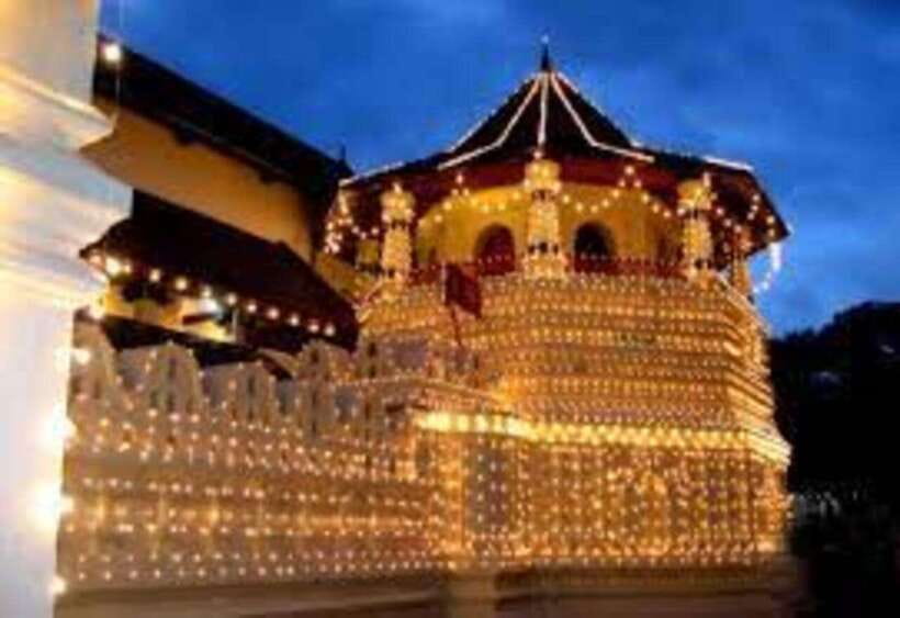 From Negombo : Pinnawala & Tea Factory & Kandy Full Day Trip - Royal Botanic Gardens, Kandy: where the guide earns their keep