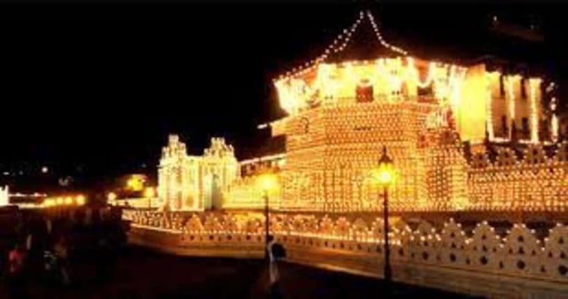 From Negombo : Pinnawala & Tea Factory & Kandy Full Day Trip - Temple of the Tooth: sacred etiquette and a big emotional payoff