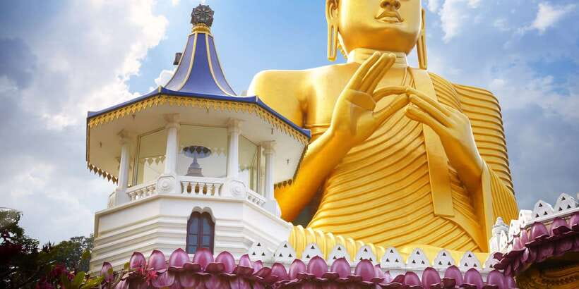 From Negombo: Sigiriya and Dambulla Day Trip and Safari - Who this day trip fits best