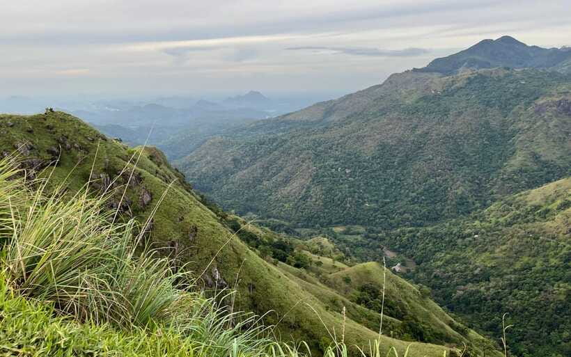 From Nuwara Eliya: Ella City Tour with Little Adam's Peak - Tea factory visit: learning about tea, not just buying tea