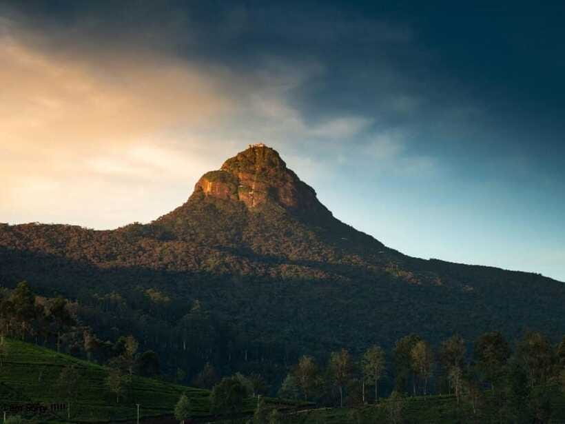 From Nuwara Eliya: Summit Bliss, Adams Peak Guided Hike - Who should book this Adams Peak hike