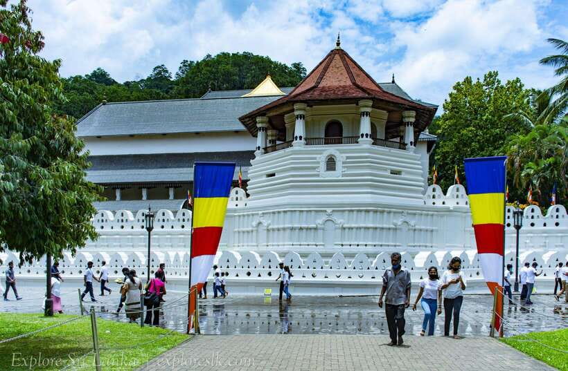 From Nuwara Eliya To Kandy Drop Tour - Giant Java Fig Tree and Woodcarving House: Culture Between the Big Sights