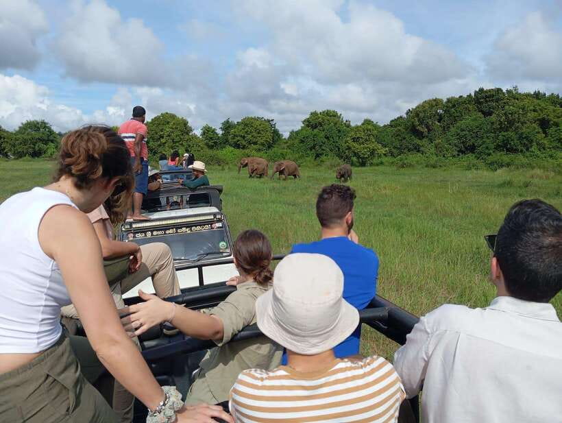 From Sigiriya: Hurulu Eco Park Elephant Jeep Safari - Duration and pacing: A realistic half-day safari