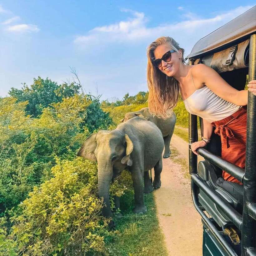 From Sigiriya : Hurulu Eco Park Safari : All Inclusive - Wildlife you can actually look for: elephants, birds, and the leopard question