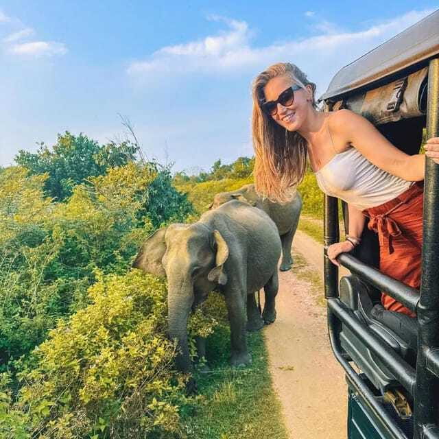 From Sigiriya : Hurulu Eco Park Safari : All Inclusive - Practical tips so you get the best morning