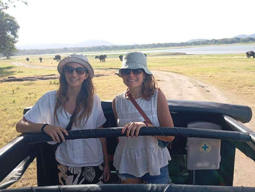 From Sigiriya: Minneriya National Park Half-Day Jeep Safari - Why Minneriya Beats a Typical Wildlife Drive