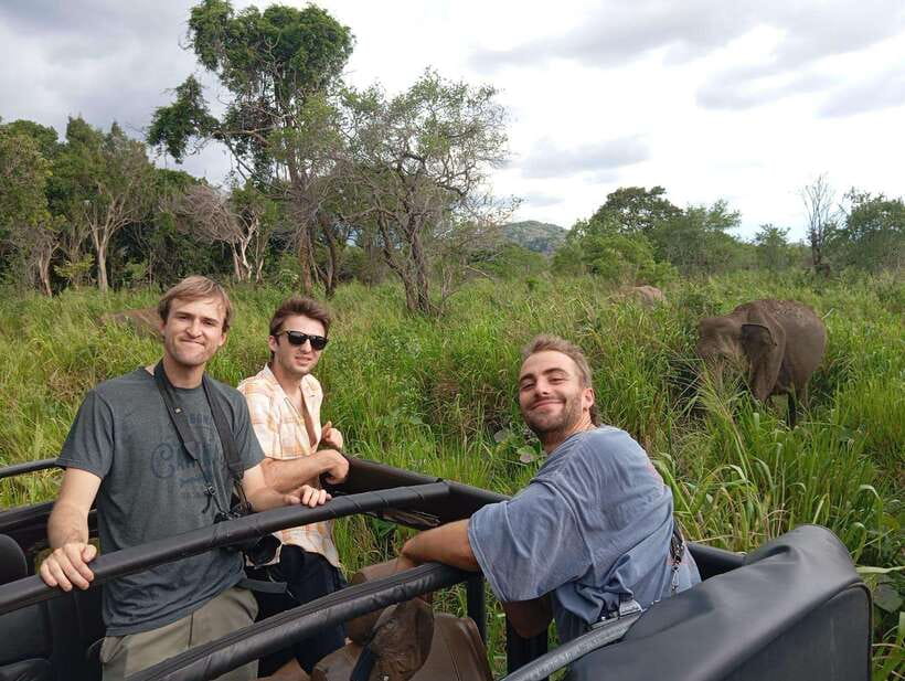 From Sigiriya: Minneriya National Park Half-Day Jeep Safari - The 4x4 Jeep Safari: How the Timing Really Feels