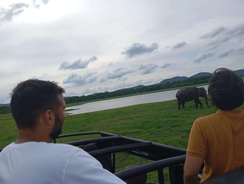 From Sigiriya: Minneriya National Park Half-Day Jeep Safari - Guide and Driving Style: The Difference Between Seeing and Noticing