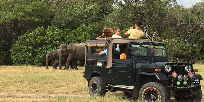 From Sigiriya: Polonnaruwa Ancient City & Minneriya Safari - Should you book Polonnaruwa + Minneriya from Sigiriya?