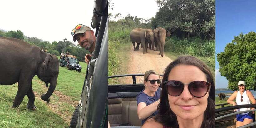 From Sigiriya: Polonnaruwa Ancient City & Minneriya Safari - Who this tour fits best (and who should skip it)