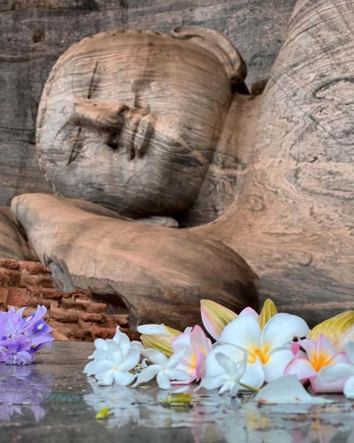 From Sigiriya :Polonnaruwa Ancient City Tour/Day Tour - Key things that make this Polonnaruwa day tour worth it