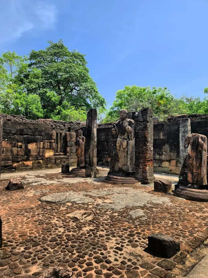 From Sigiriya :Polonnaruwa Ancient City Tour/Day Tour - Parakrama Samudra plus Vatadage: big engineering, carved detail