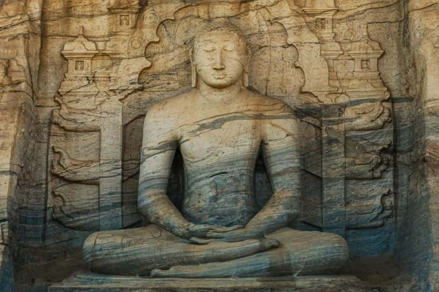 From Sigiriya :Polonnaruwa Ancient City Tour/Day Tour - Minneriya elephant gathering: the part people talk about most