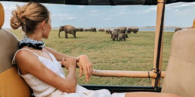 From Tangalle/Hiriketiya: Ella Transfer & Udawalawe Safari - What You’ll Likely See: Elephants, Crocodiles, Birds, and More