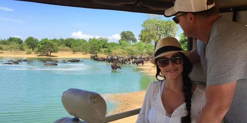 From Tangalle/Hiriketiya: Ella Transfer & Udawalawe Safari - Entrance Fees and Extra Costs: The One Surprise to Budget For
