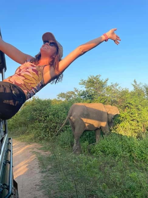 From Tangalle/ Hiriketiya: Yala Safari with Drop: Ella - Wildlife-Spotting Reality Check: How to Think Like a Safari Passenger