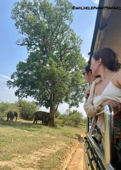 From Tangalle/ Hiriketiya: Yala Safari with Drop: Ella - Comfort Level: The Car Is Easy, the Jeep Can Be Bumpy