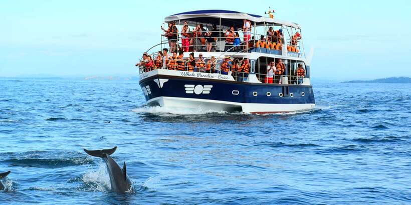 From Tangalle: Mirissa Whale Watching Tour with Breakfast - From Tangalle to Mirissa Pier: The Ride Starts the Morning