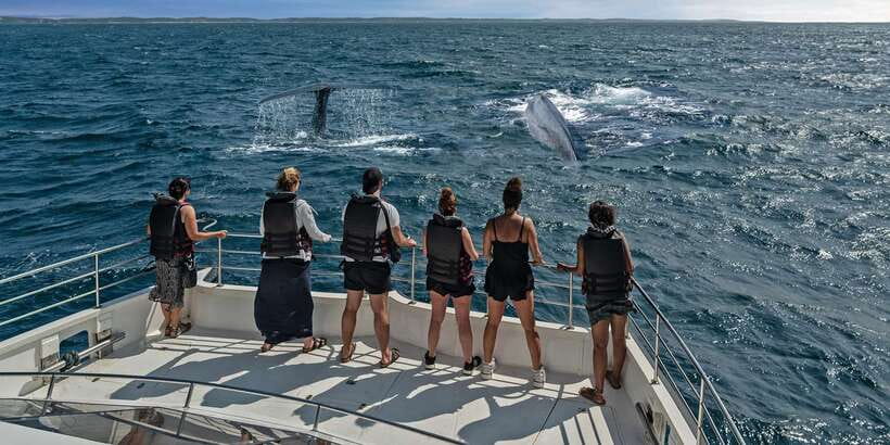 From Tangalle: Mirissa Whale Watching Tour with Breakfast - Should You Book This Mirissa Whale Watching with Breakfast?