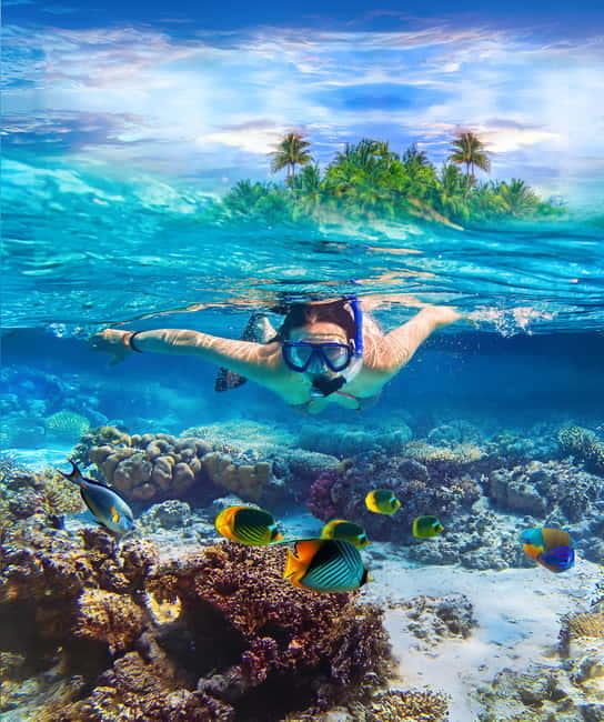 From Uppuveli Beach: Pigeon Island Snorkeling Tour - Pigeon Island feels special for more than the animals