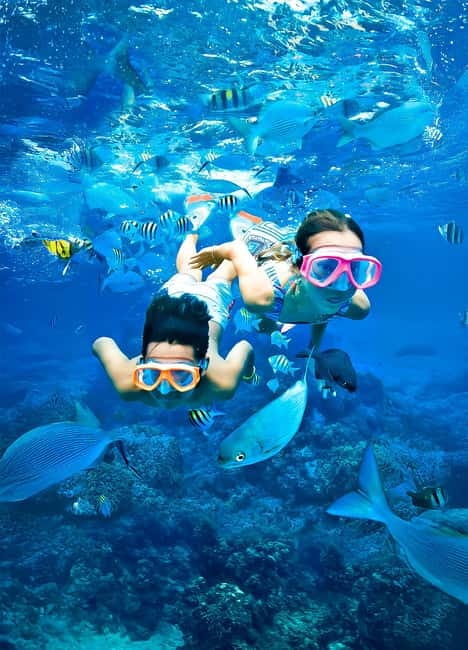 From Uppuveli Beach: Pigeon Island Snorkeling Tour - What you’ll see underwater: coral, turtles, and black tip reef sharks