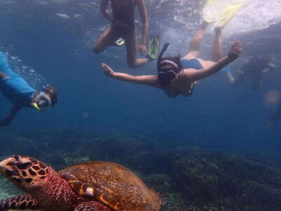 From Uppuveli Beach: Pigeon Island Snorkeling Tour - Getting there: Fernando’s Beach Market by 8:30 AM