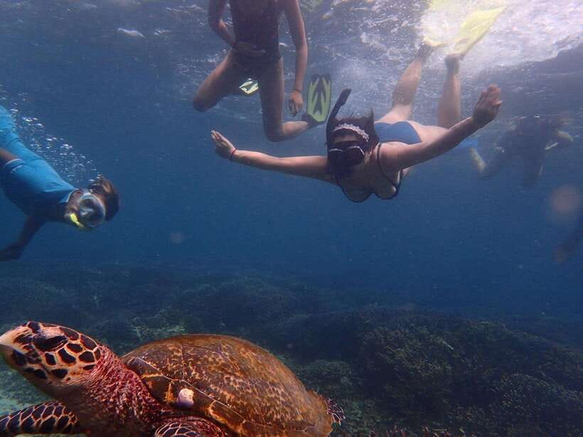 From Uppuveli Beach: Pigeon Island Snorkeling Tour - Getting there: Fernando’s Beach Market by 8:30 AM