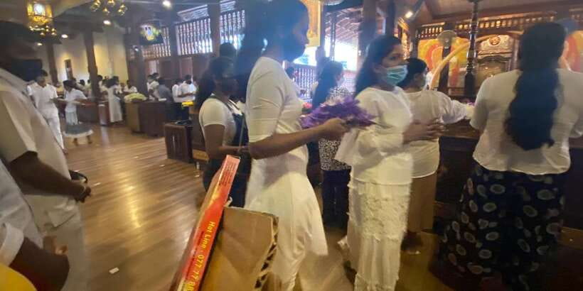 From west coast: Kandy, Tooth temple, Botanical & Tea garden - West Coast Pickup To Hill Country Kandy