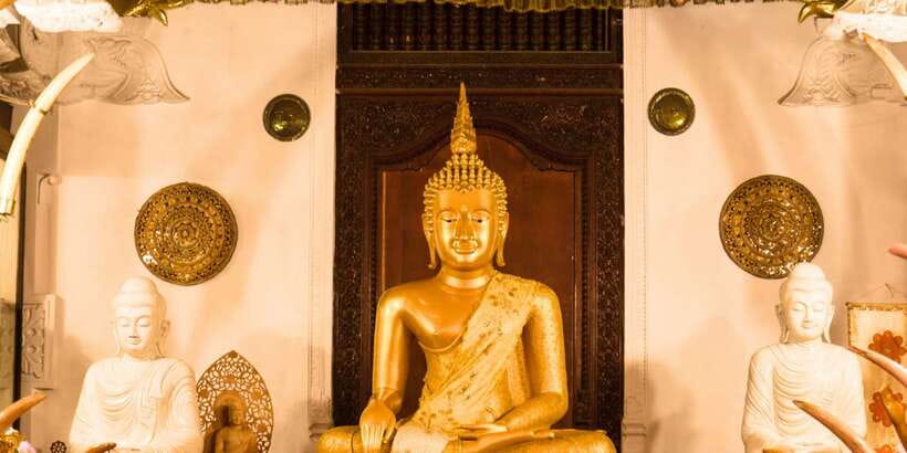 From west coast: Kandy, Tooth temple, Botanical & Tea garden - Matale Spice and Herbal Garden: What Grows Behind the Flavor