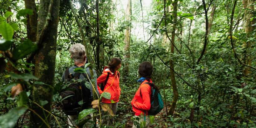From Western Province: 2-Day Hill Country Highlights Trip - Key things to know before you go