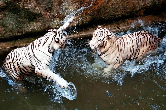 Full-Day Colombo City Tour (Private Car) - Diyatha Uyana park by the lake and Dehiwala Zoo time