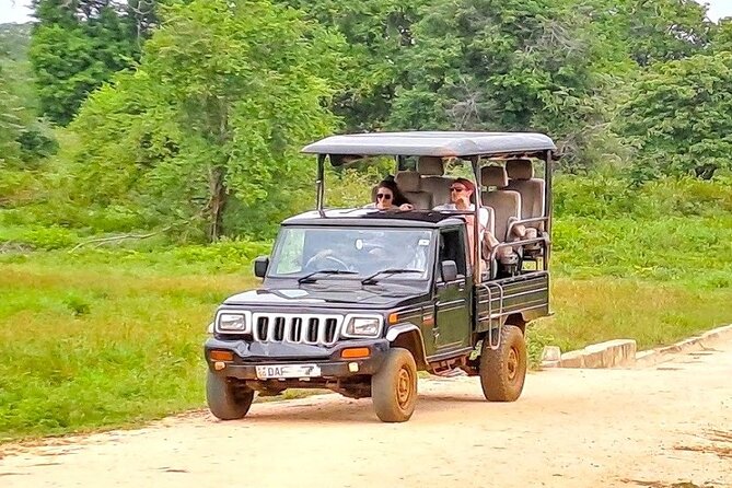 Fully Private Udawalawe National Park Safari Tour - Lunch and the long-day reality