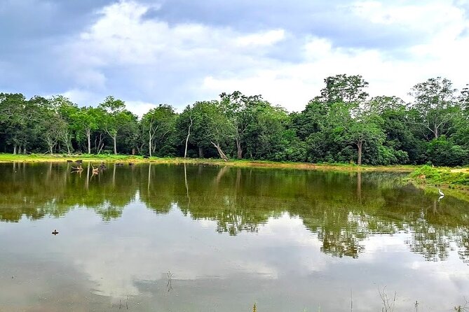 Fully Private Udawalawe National Park Safari Tour - Who this private Udawalawe safari is best for