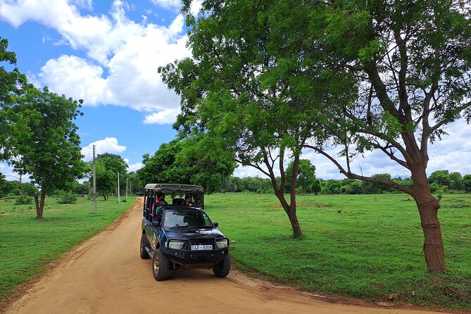 Fully Private Udawalawe National Park Safari Tour - Should you book this Udawalawe safari?