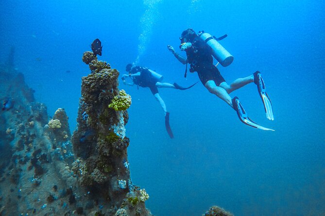 Fun Dives For Certified Divers - Quick hits: what makes this trip work