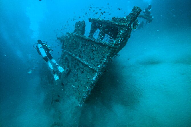 Fun Dives For Certified Divers - Morning plan: 8:30 registration, then back around 10:30 to 12:30