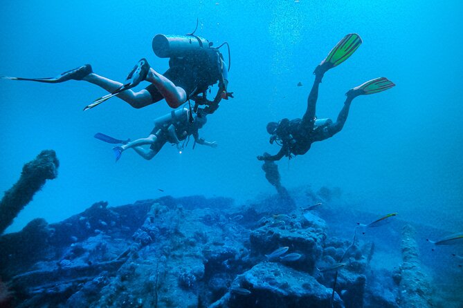 Fun Dives For Certified Divers - What you’re likely to see: reef life, critters, and occasional surprises