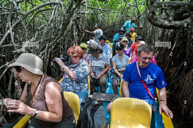 Galle and Bentota Day Tour From Colombo and Negombo - Madu Ganga river safari: mangroves, wildlife, and the fish-foot massage
